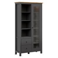 Vitrina HESEN REG1W2S/20/11-GF/DASN